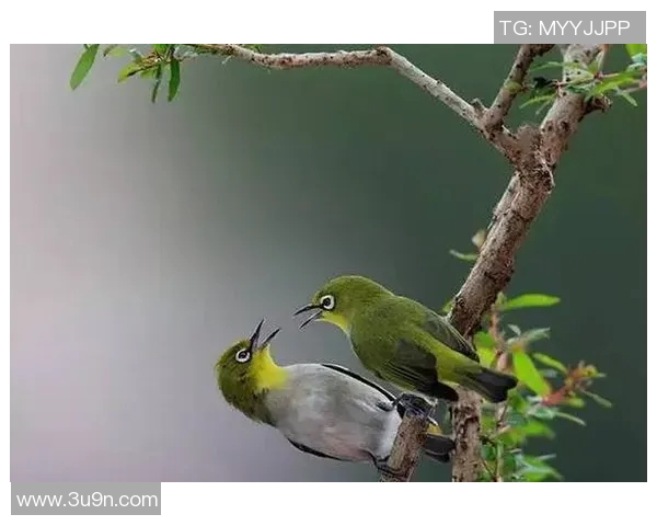 廖三宁：在音乐与人生的旅途中追寻梦想的脚步与心灵的共鸣