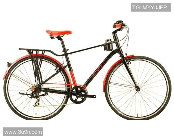 探索momentum自行车的骑行乐趣与城市出行新方式