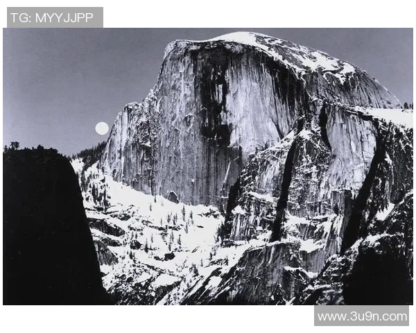 亚当斯的传奇人生与影响力探讨：从个人成就到社会变革的深远影响