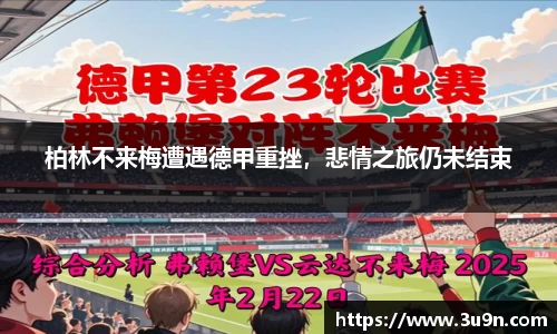 金年会下载