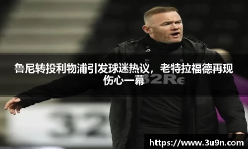 金年会下载