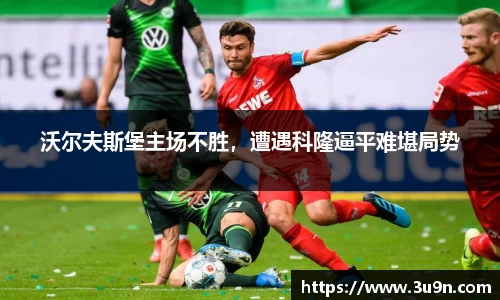 金年会下载