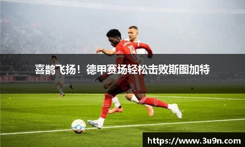 金年会下载