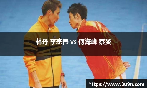 林丹 李宗伟 vs 傅海峰 蔡赟